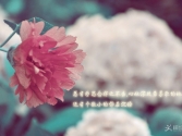 �l(f��)�e(cu��)�ˡ�����Ո(q��ng)����T�h���������x�x����