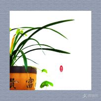 �m����