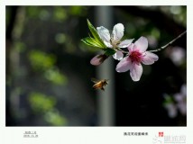 ���ɻ���I��