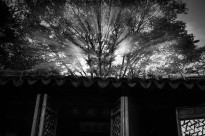�S��һ��103