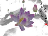 ˮī�ɻ�