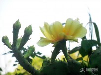 ���C(j��)����