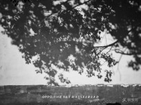 �S��һ��303