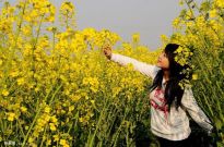 �S���|Ů