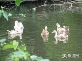 �l(xi��ng)���S��1