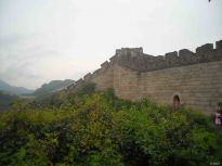 �S����Ո(q��ng)���ġ���
