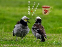 ��Ϧ�옷