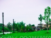 ��һ��С��������(b��o)��