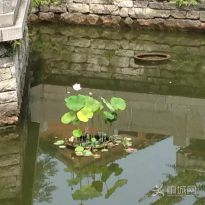 �o��