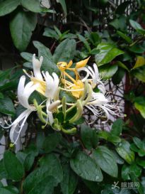 �S����---�����y��