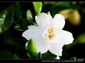 �d�ӻ��_(k��i)