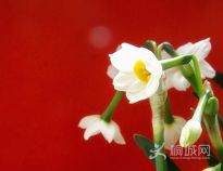 �貨���Ӳ��Xӯ