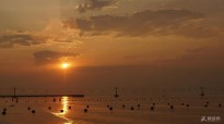 �S��һ��102