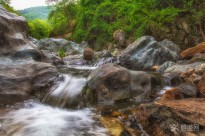 �����r�L(f��ng)��