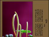 ԁ����