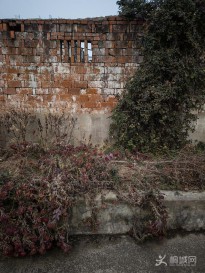 �S��һ��177