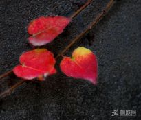 ����(�M�D)