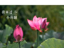 ��������L(f��ng)��� �ĺ����㿝�@��