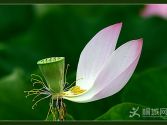 �ДzӰ�҅f(xi��)��(hu��)����(chu��ng)�����L(f��ng)���(d��ng)֪ͨ