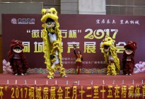 �������y�б���2017ͩ�Ƿ��a(ch��n)չ�N��(hu��)