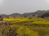��Ҳ�I(xi��n)�ώ׏�����