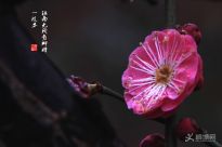 ����ʹ��