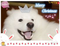ʥ�Q��(ji��)�옷