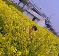 ����һֻС�۷����w���Ͳ˻�����