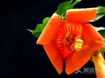 �滨ؼ----����S