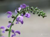 �o����--��춰�����