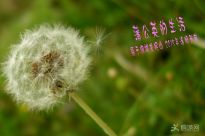ͩ���L(f��ng)�Гuҷ���ѹ�Ӣ