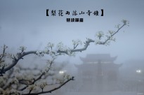 �滨����ɽ���