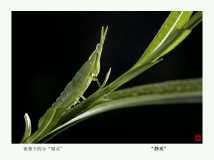 ҹĻ�µ�С�����`��~������