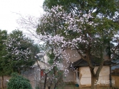 ���쵽�ˣ�
