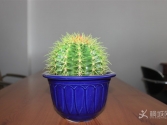 �k���ҵĻ����ݲ�