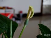 ��ˮ�^��