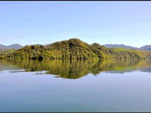�鵽��̎����ˡ��