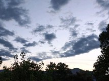 ˮ��(k��)Ѳ��