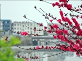 ������������Ո���ڶ�퓣��ҵ��uՓ���x�x����