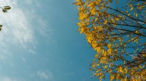�S��һ��133