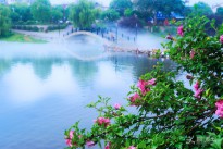�I��֮��(һ��һ�D)
