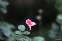 �o(w��)�ԵĽY(ji��)��